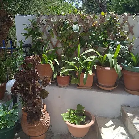 To Limanaki Apartment Finikounta