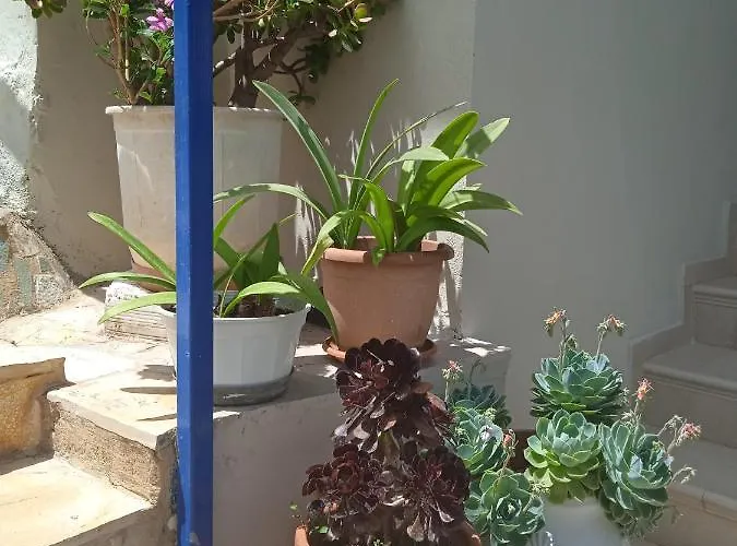 Apartmán To Limanaki *